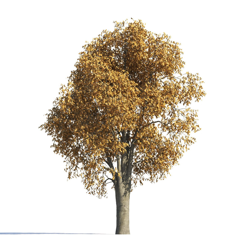 Archmodels vol. 258 (Evermotion 3D Models) - Architectural Visualizations
