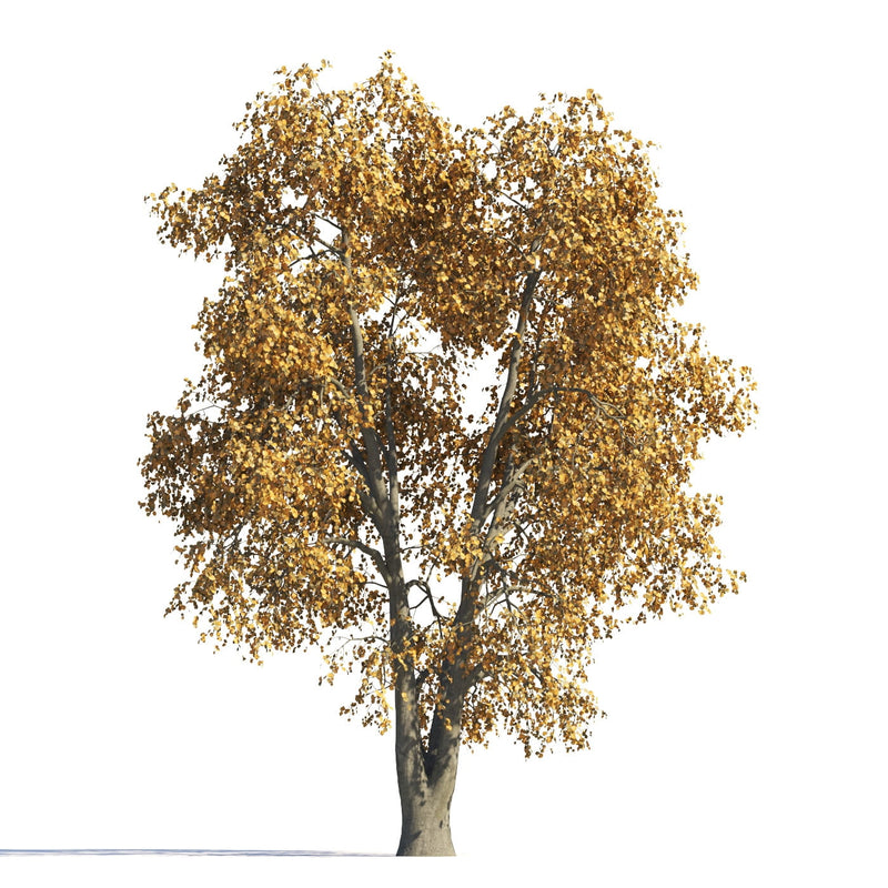 Archmodels vol. 258 (Evermotion 3D Models) - Architectural Visualizations