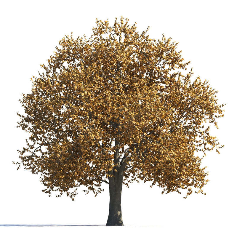 Archmodels vol. 258 (Evermotion 3D Models) - Architectural Visualizations