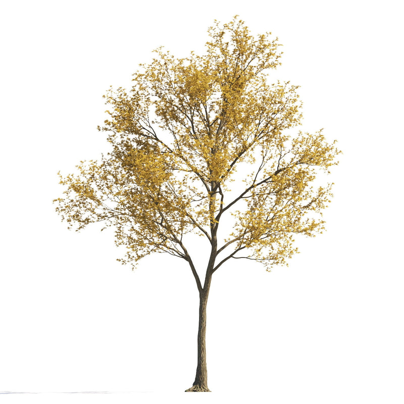 Archmodels vol. 258 (Evermotion 3D Models) - Architectural Visualizations