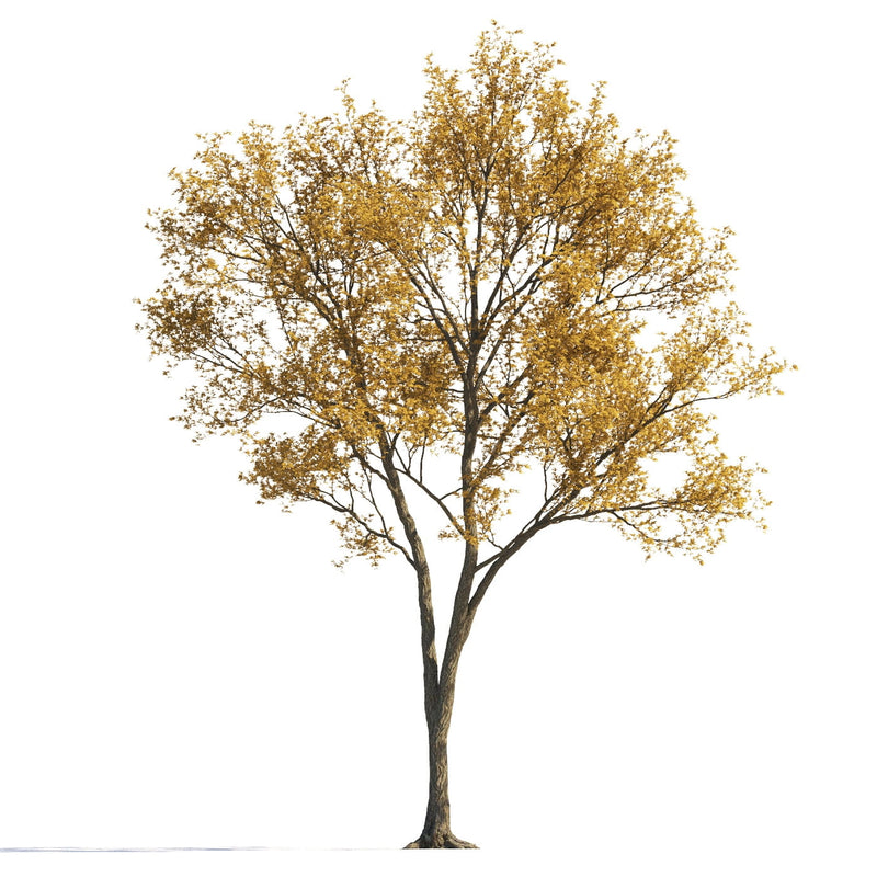 Archmodels vol. 258 (Evermotion 3D Models) - Architectural Visualizations