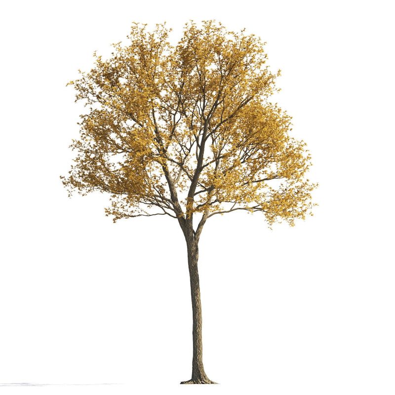 Archmodels vol. 258 (Evermotion 3D Models) - Architectural Visualizations