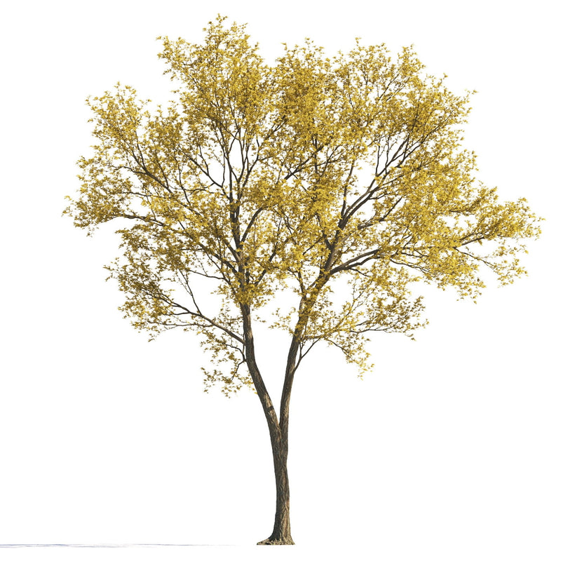 Archmodels vol. 258 (Evermotion 3D Models) - Architectural Visualizations