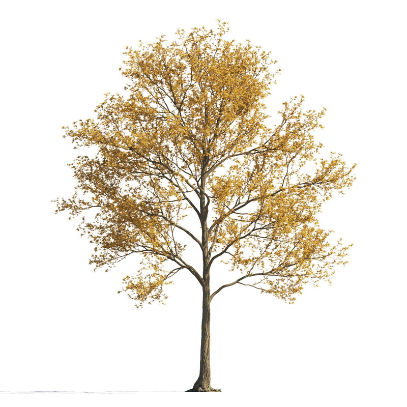 Archmodels vol. 258 (Evermotion 3D Models) - Architectural Visualizations