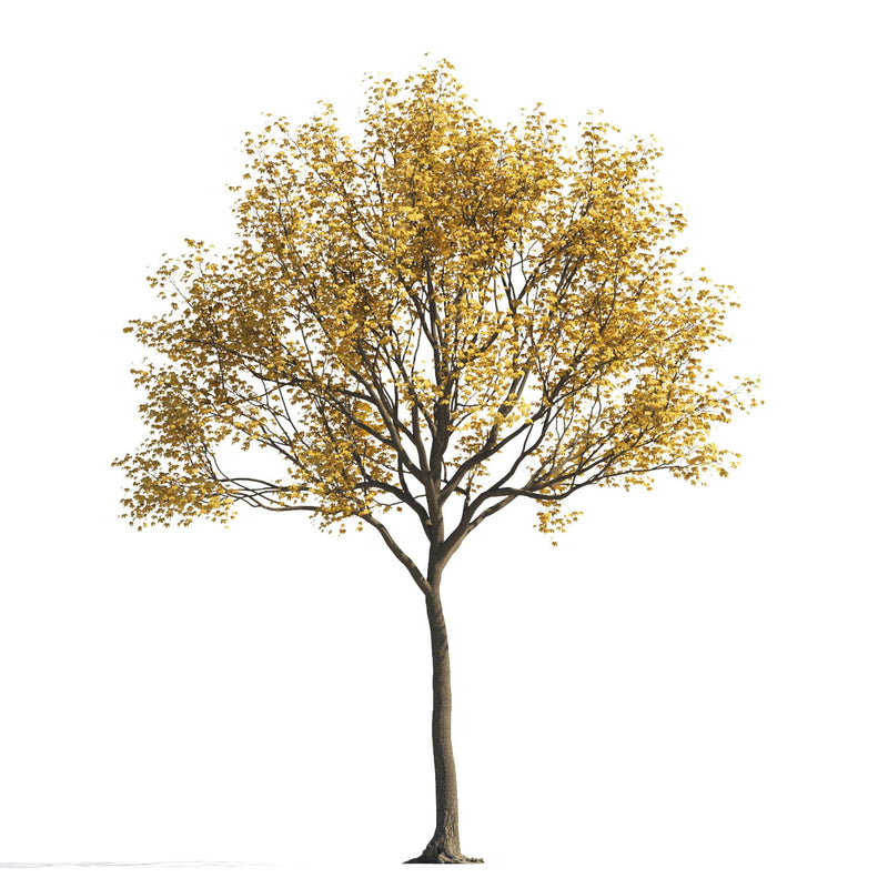 Archmodels vol. 258 (Evermotion 3D Models) - Architectural Visualizations