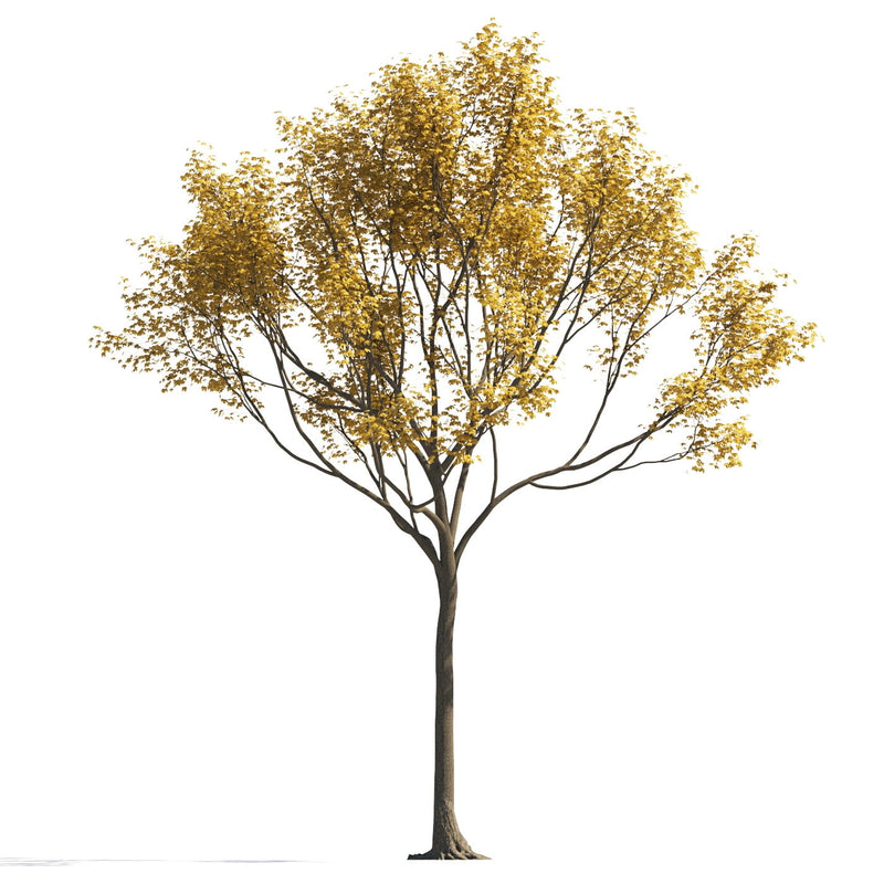 Archmodels vol. 258 (Evermotion 3D Models) - Architectural Visualizations