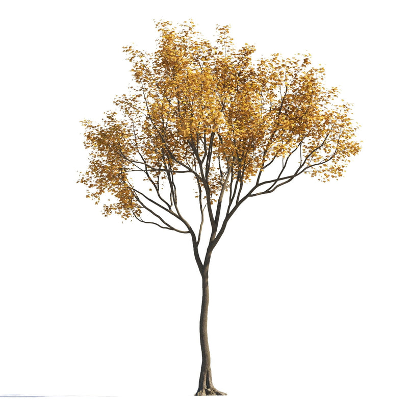 Archmodels vol. 258 (Evermotion 3D Models) - Architectural Visualizations