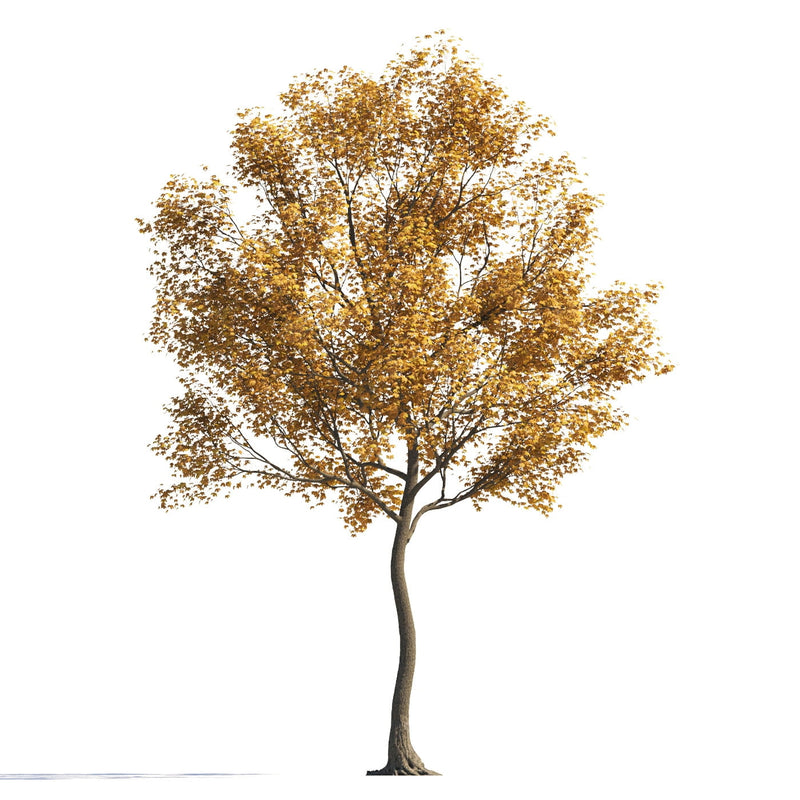 Archmodels vol. 258 (Evermotion 3D Models) - Architectural Visualizations