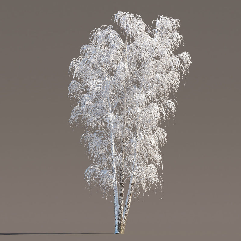 Archmodels vol. 258 (Evermotion 3D Models) - Architectural Visualizations