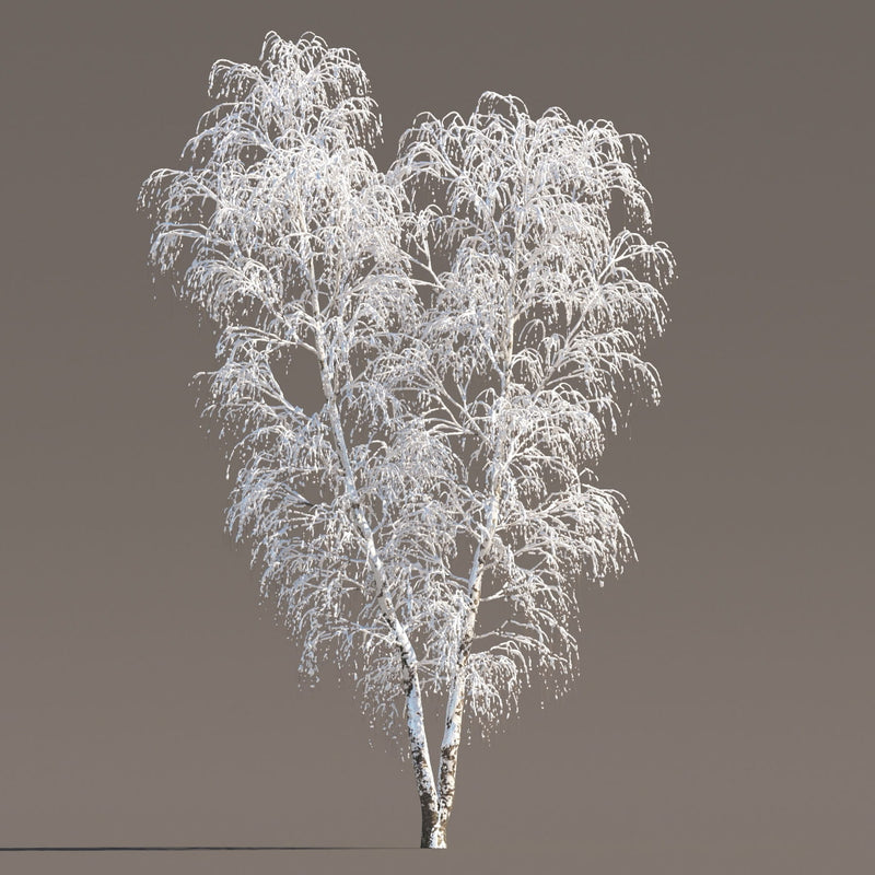 Archmodels vol. 258 (Evermotion 3D Models) - Architectural Visualizations