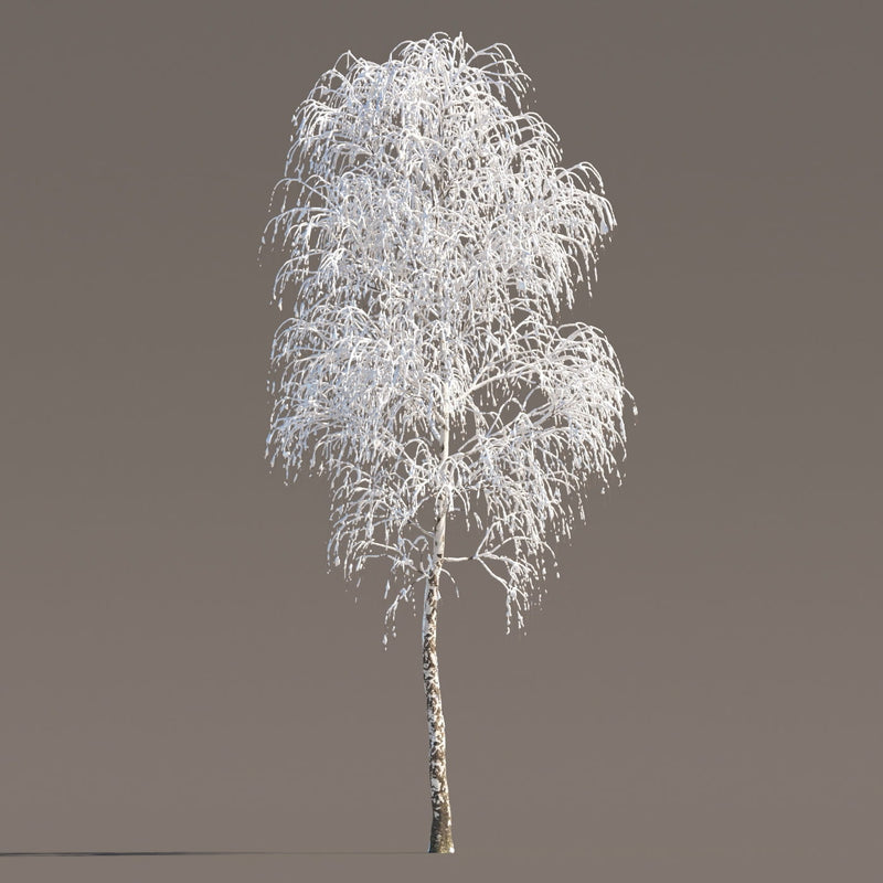 Archmodels vol. 258 (Evermotion 3D Models) - Architectural Visualizations