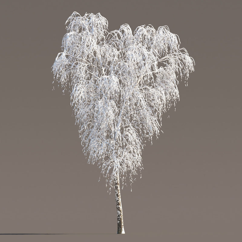Archmodels vol. 258 (Evermotion 3D Models) - Architectural Visualizations