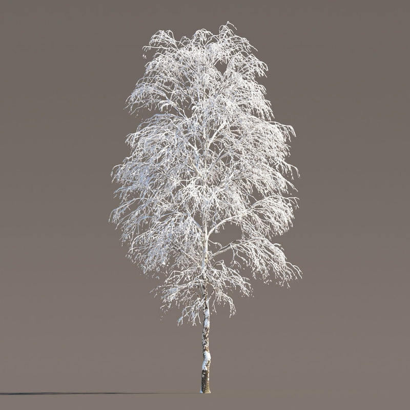 Archmodels vol. 258 (Evermotion 3D Models) - Architectural Visualizations