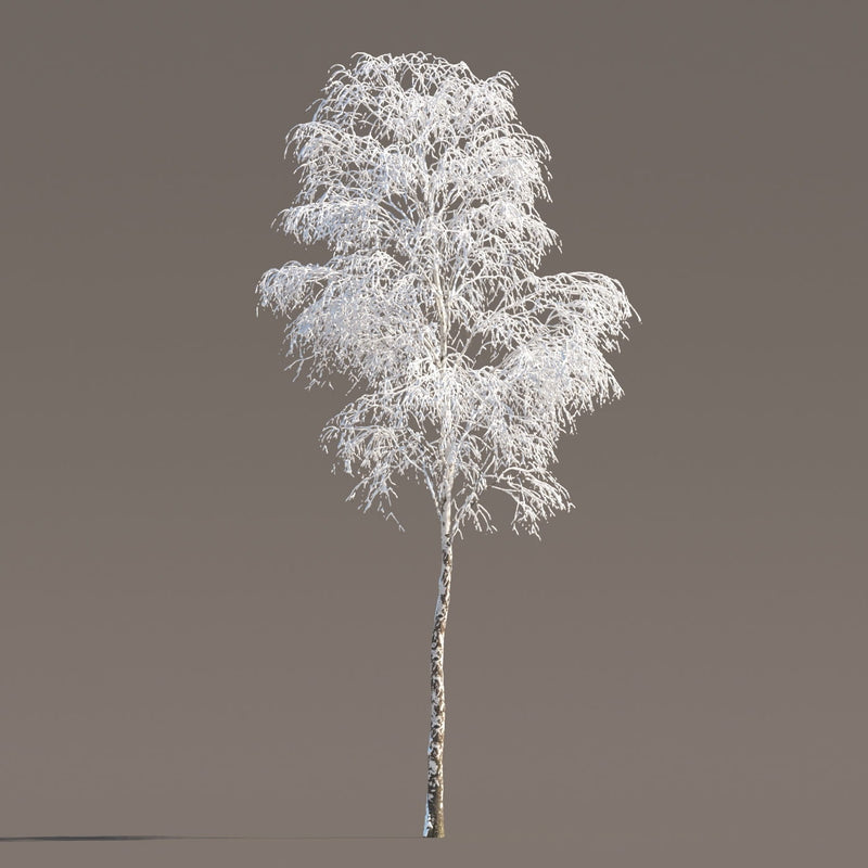 Archmodels vol. 258 (Evermotion 3D Models) - Architectural Visualizations