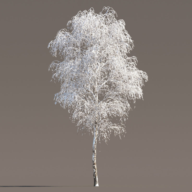 Archmodels vol. 258 (Evermotion 3D Models) - Architectural Visualizations