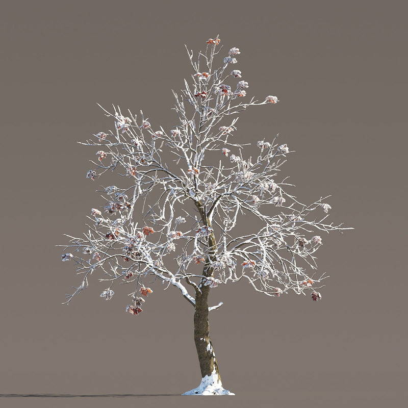 Archmodels vol. 258 (Evermotion 3D Models) - Architectural Visualizations