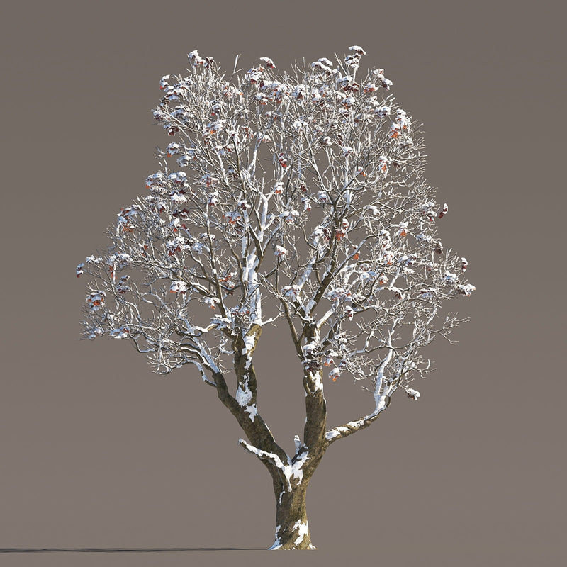 Archmodels vol. 258 (Evermotion 3D Models) - Architectural Visualizations