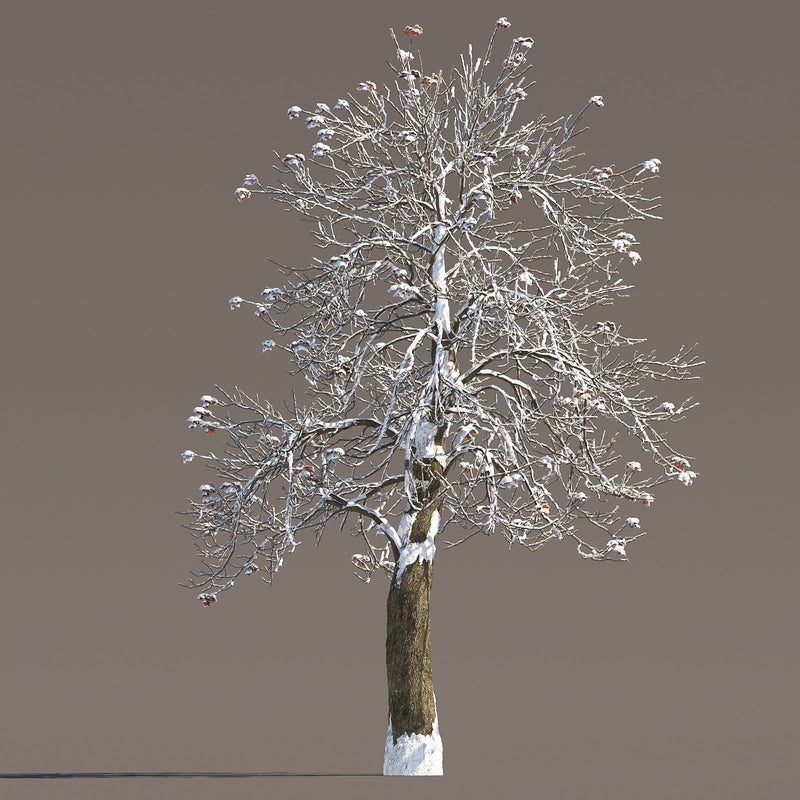 Archmodels vol. 258 (Evermotion 3D Models) - Architectural Visualizations