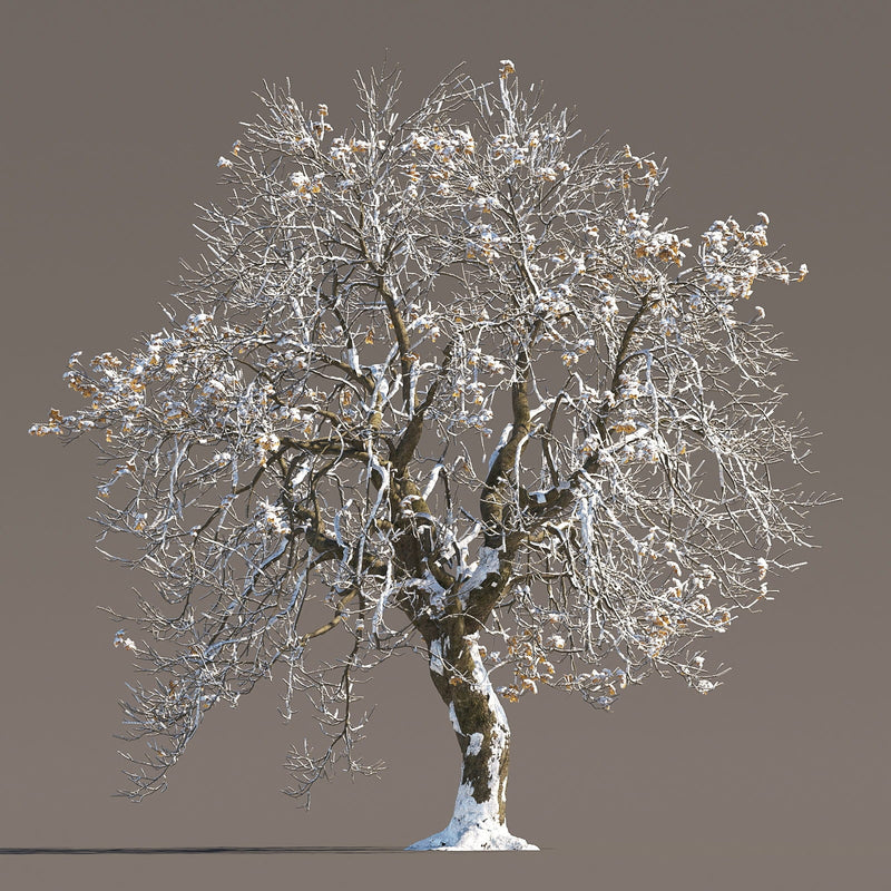 Archmodels vol. 258 (Evermotion 3D Models) - Architectural Visualizations