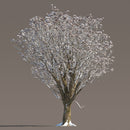 Archmodels vol. 258 (Evermotion 3D Models) - Architectural Visualizations