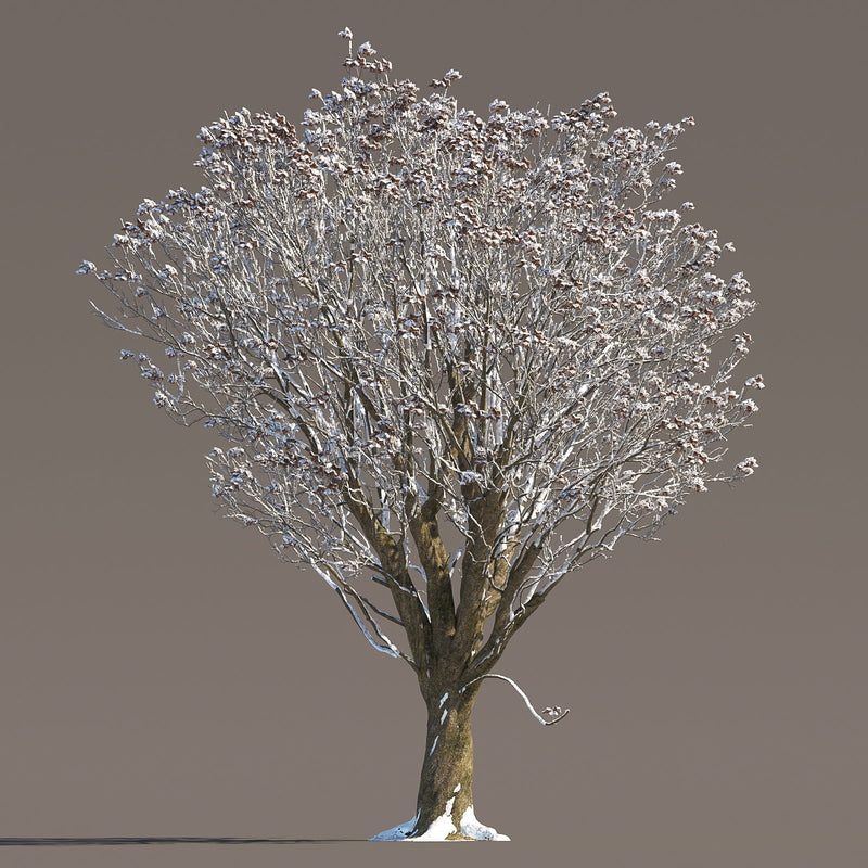 Archmodels vol. 258 (Evermotion 3D Models) - Architectural Visualizations