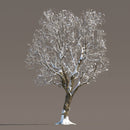 Archmodels vol. 258 (Evermotion 3D Models) - Architectural Visualizations