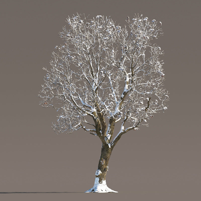 Archmodels vol. 258 (Evermotion 3D Models) - Architectural Visualizations
