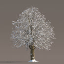 Archmodels vol. 258 (Evermotion 3D Models) - Architectural Visualizations