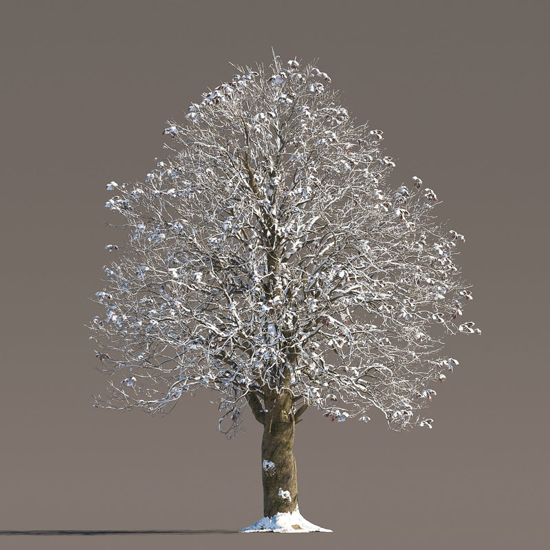 Archmodels vol. 258 (Evermotion 3D Models) - Architectural Visualizations