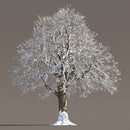 Archmodels vol. 258 (Evermotion 3D Models) - Architectural Visualizations