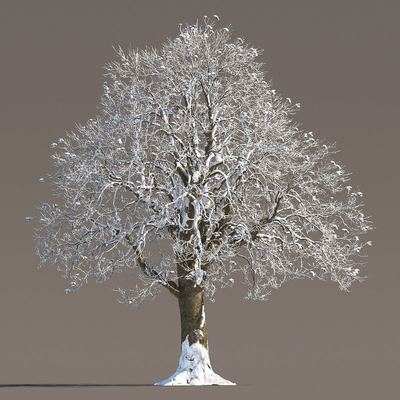 Archmodels vol. 258 (Evermotion 3D Models) - Architectural Visualizations
