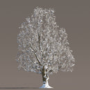 Archmodels vol. 258 (Evermotion 3D Models) - Architectural Visualizations