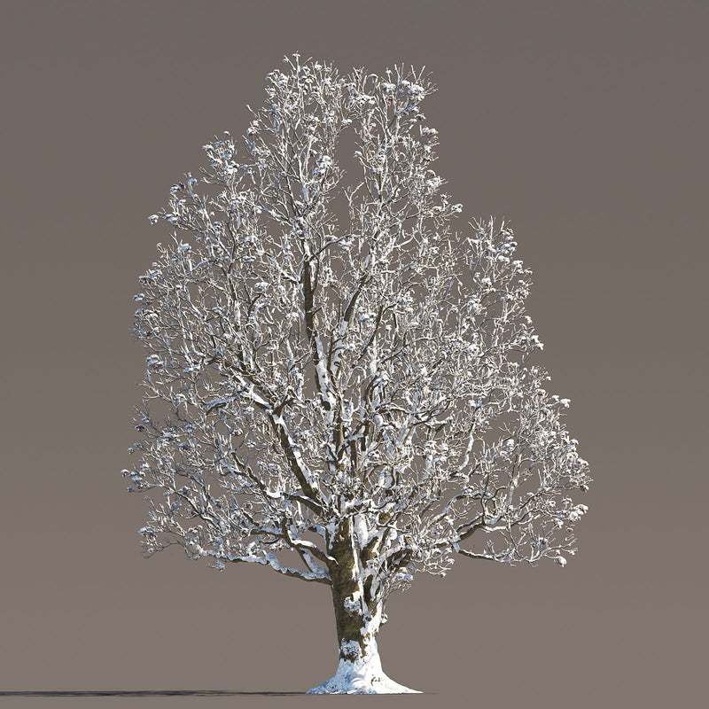 Archmodels vol. 258 (Evermotion 3D Models) - Architectural Visualizations