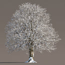 Archmodels vol. 258 (Evermotion 3D Models) - Architectural Visualizations