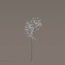 Archmodels vol. 258 (Evermotion 3D Models) - Architectural Visualizations