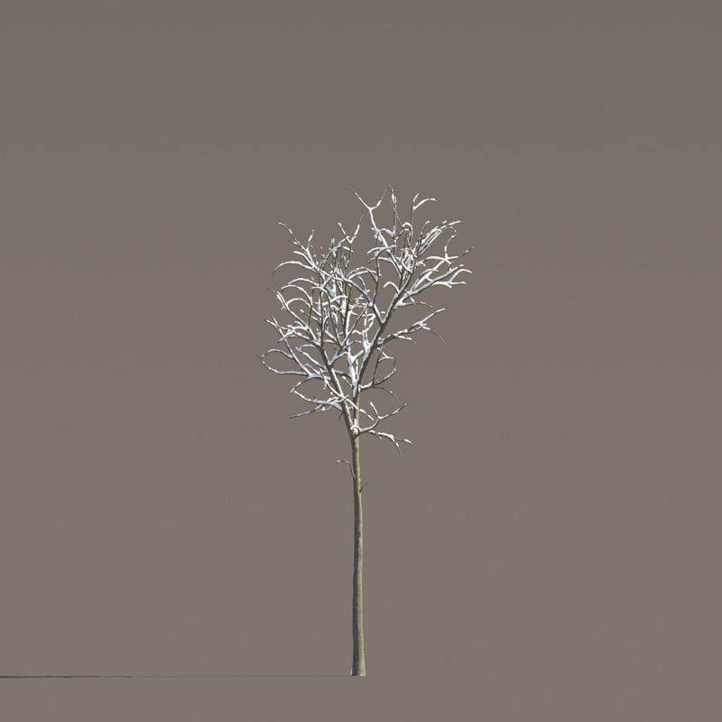 Archmodels vol. 258 (Evermotion 3D Models) - Architectural Visualizations