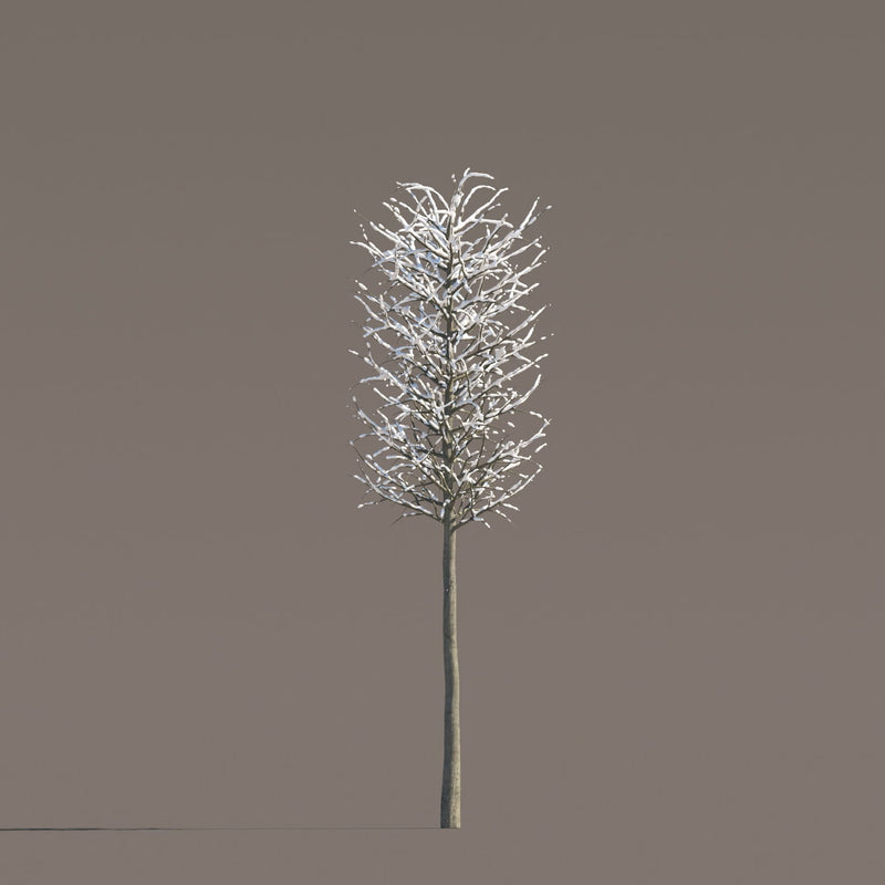 Archmodels vol. 258 (Evermotion 3D Models) - Architectural Visualizations