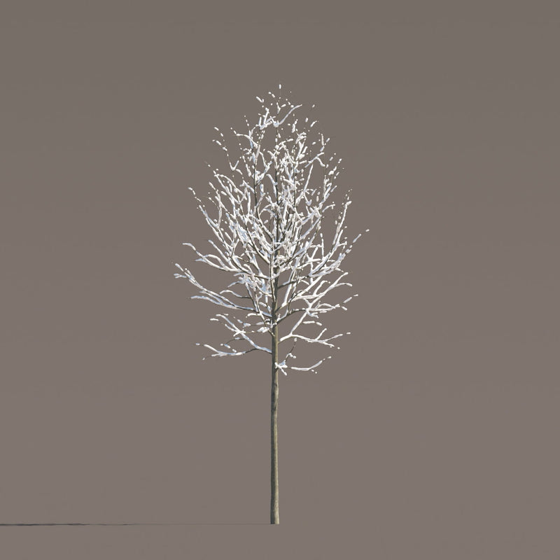 Archmodels vol. 258 (Evermotion 3D Models) - Architectural Visualizations