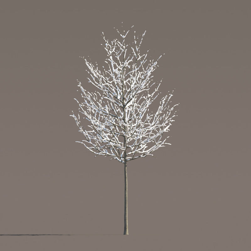 Archmodels vol. 258 (Evermotion 3D Models) - Architectural Visualizations
