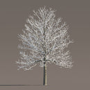 Archmodels vol. 258 (Evermotion 3D Models) - Architectural Visualizations