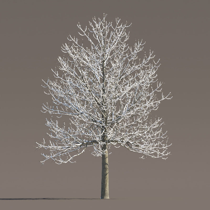 Archmodels vol. 258 (Evermotion 3D Models) - Architectural Visualizations