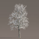 Archmodels vol. 258 (Evermotion 3D Models) - Architectural Visualizations