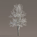 Archmodels vol. 258 (Evermotion 3D Models) - Architectural Visualizations