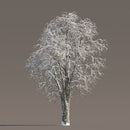 Archmodels vol. 258 (Evermotion 3D Models) - Architectural Visualizations