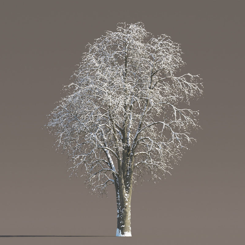 Archmodels vol. 258 (Evermotion 3D Models) - Architectural Visualizations