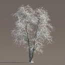 Archmodels vol. 258 (Evermotion 3D Models) - Architectural Visualizations