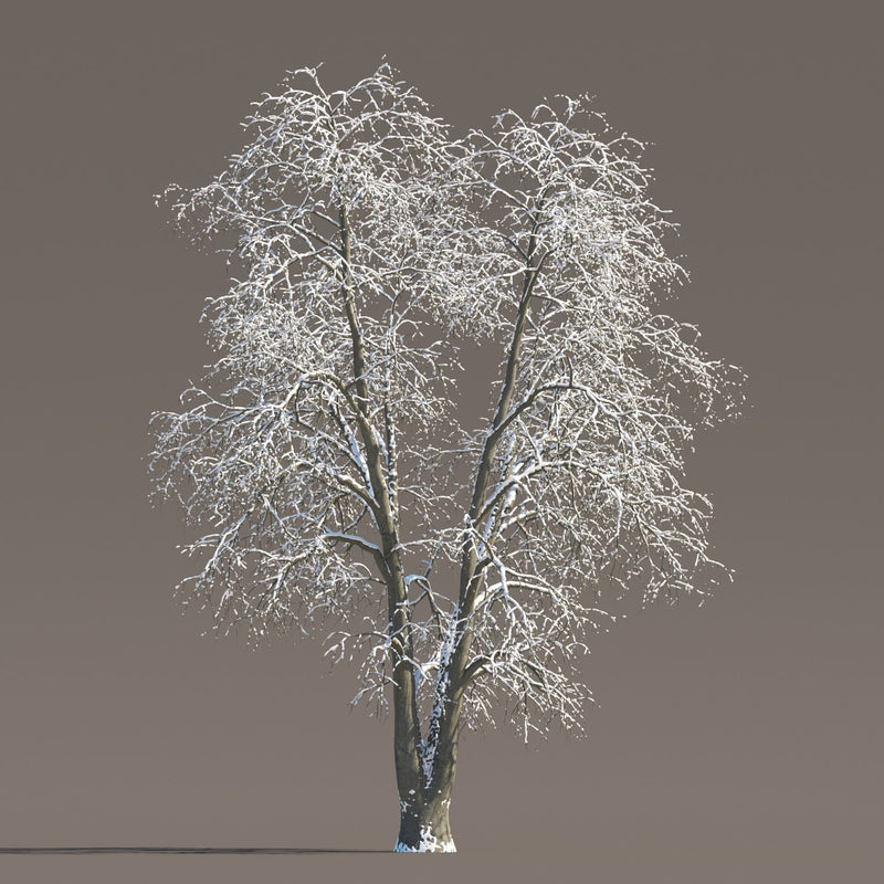 Archmodels vol. 258 (Evermotion 3D Models) - Architectural Visualizations