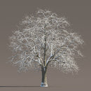 Archmodels vol. 258 (Evermotion 3D Models) - Architectural Visualizations