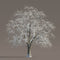 Archmodels vol. 258 (Evermotion 3D Models) - Architectural Visualizations