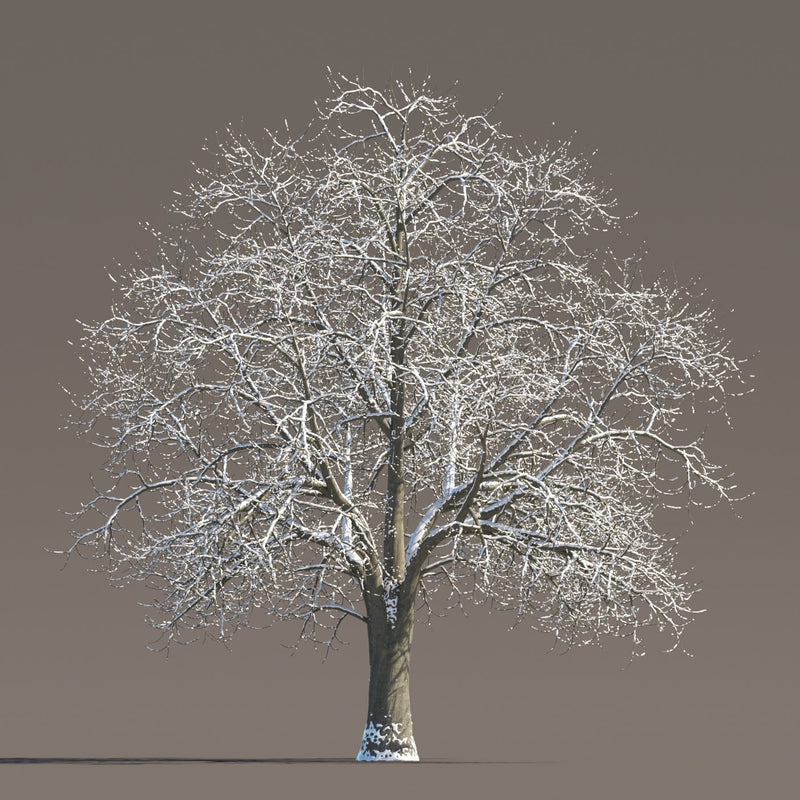 Archmodels vol. 258 (Evermotion 3D Models) - Architectural Visualizations